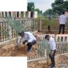 Profilbild von akd_organic_farming_offical आज नहीं तो कल जैविक ही