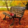 مهند العجمي 🌼 的头像