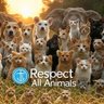 Respect All Animals profil fotoğrafı