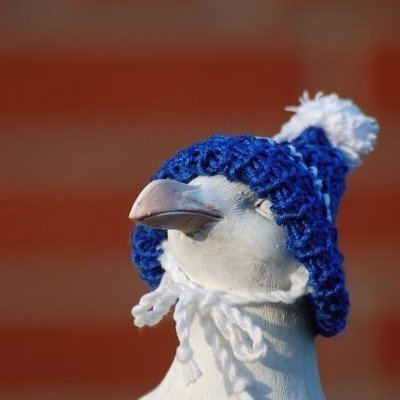 Чайка's profile picture