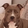 ryu aka's profile picture