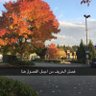 Profilbild von Abu khalid