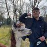 Marius profil fotoğrafı