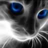 Profilbild von Lucinda Jones