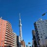 黒縁メガネ profil fotoğrafı