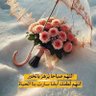 Фото профиля salah al dien
