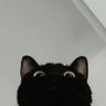 ? profil fotoğrafı