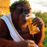 Bill Dunn 🥃🥃's profile picture