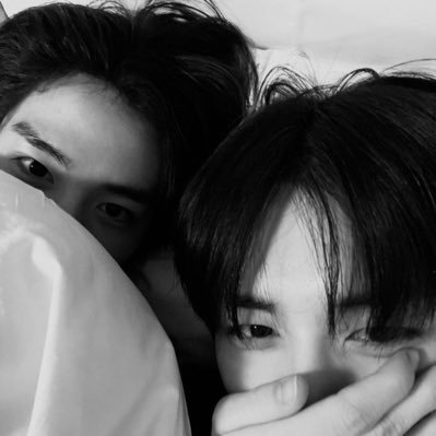 잏탯 아카이브's profile picture
