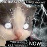 Burn the pedos's profile picture