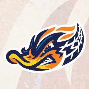 Akron RubberDucks's profile picture