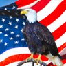 FmC's profile picture