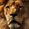 Big Cat 的头像