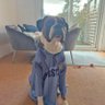 Sunnyjim's profile picture