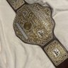 THE WORLD HEAVYWEIGHT CHAMP 的头像
