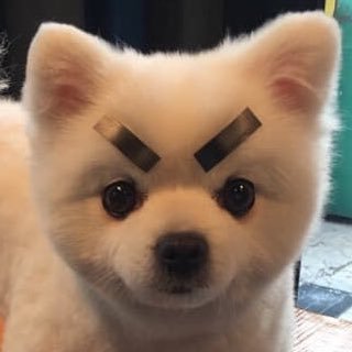 hoonbelieve's profile picture