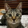 ナビ 1歳9ヵ月🐾 profil fotoğrafı