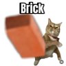 Mig's profile picture