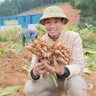 Thanh Nghệ's profile picture