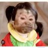 Contestin's profile picture