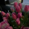 Фото профиля خيال