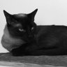 Profilbild von sam