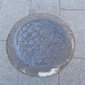 Momono 的头像
