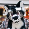 Hunter Husky 的头像