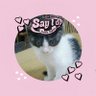 猫のみかん 的头像