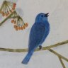 2525 Bird profil fotoğrafı