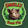 smellybushpig's profile picture
