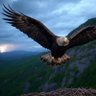 Eagle’s Nest 的头像