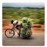 AGABA PROSPER's profile picture