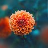PnrPelinn 的头像