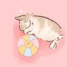 うさぎのココ's profile picture