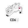 Profilbild von CowdogSix