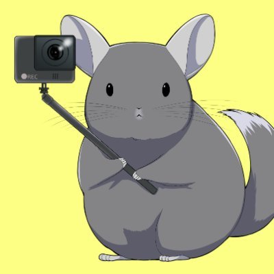 guyamoko's profile picture