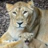 Roar 的头像