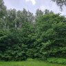 Фото профиля Umar Farooq