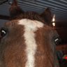 Tim Dollard's profile picture