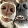 Kristie's profile picture