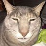 Viniih 🐯💚 profil fotoğrafı