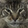 Profilbild von Deepee77