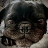 Life Is Good's profile picture