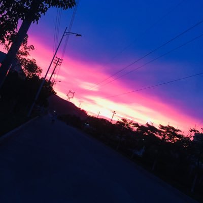 xxingzh15583's profile picture