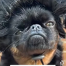 Gabriel Michael's profile picture