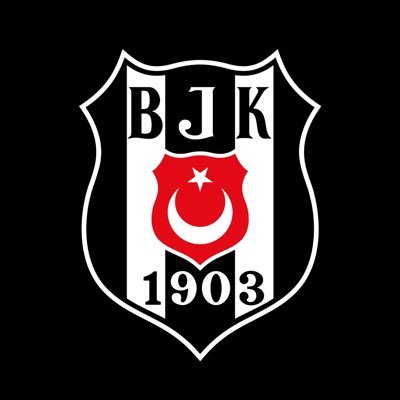 Beşiktaş Hentbol's profile picture