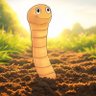 Early Worm 🪱 的头像