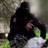 العِقاب الثّورِي || غَزَّة 的头像
