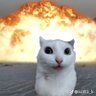 THAT ONE PFP USER 的头像